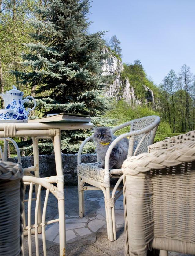 Apartment Agroturystyka Spa *